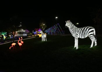 स्टैच्यू ऑफ यूनिटी जैसा ग्लो गार्डन अब अहमदाबाद में, रिवरफ्रंट पर बने गार्डन का CM ने किया लोकार्पण