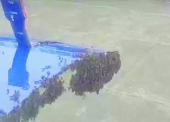 सूरत में इंडिगो की फ्लाइट पर मधुमक्खियों का हमला, टेकऑफ में हुई एक घंटे की देरी