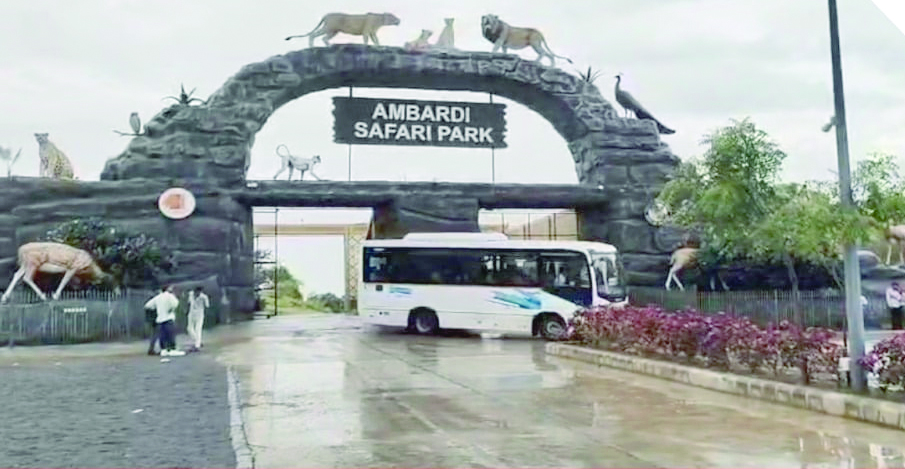 अमरेली: धारी का आंबरडी सफारी पार्क पर्यटकों के लिए बना आकर्षण का केंद्र