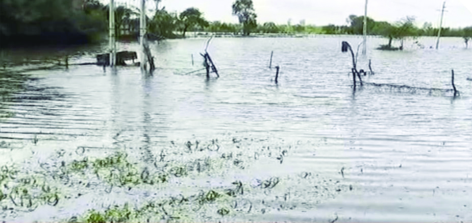 द्वारका में मूसलाधार बारिश, जाम कल्याणपुर तालुका में जलजमाव