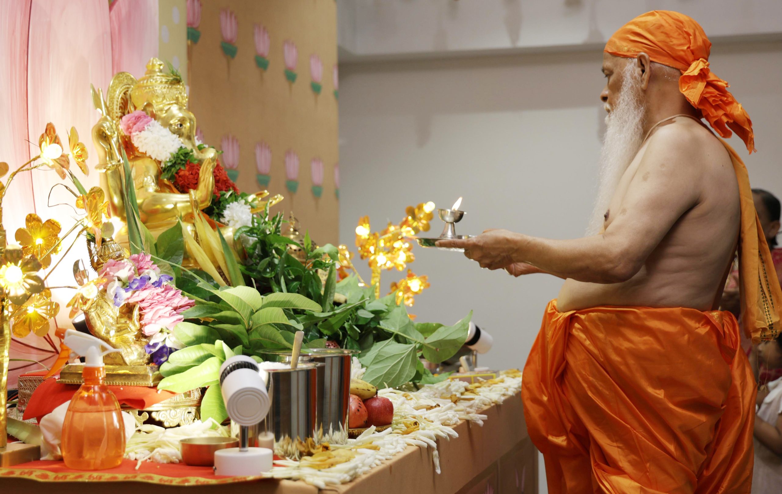 ध्यानस्थली गांधीनगर-महुड़ी में ‘द ग्रैंड गणेश कार्निवल’ का भव्य आयोजन