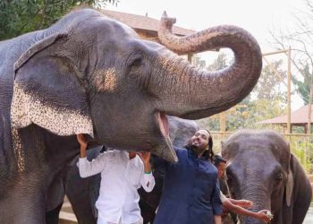 संयुक्त राष्ट्र की वन्यजीव संधि ने ‘वनतारा’ को संरक्षण उत्कृष्टता के एक वैध वैश्विक केंद्र के रूप में किया प्रमाणित