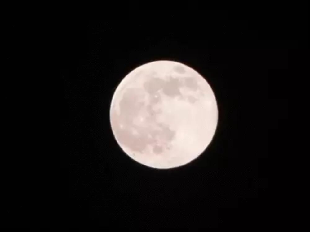 साल का सबसे बड़ा चांद दिखा , सुपरमून सामान्य से 14 गुना बड़ा और 30% ज्यादा चमकीला